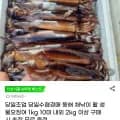 동해 채낚이 생물오징어 1kg 외 다양 10미 내외 (16,480원)