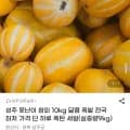 성주 못난이 참외 외 다양 1개
