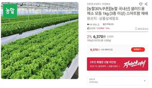 샐러드용 채소 모듬 1kg 외 3종 이상
