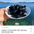 통영 다듬이 홍합 5kg