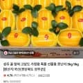 성주 꿀참외 로얄 5kg