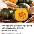 제주산 미니밤호박 2kg