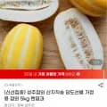 성주참외 산지직송 당도선별 참외 5kg 랜덤