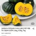 제주 미니밤호박 특품 2.5kg