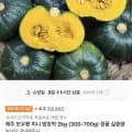 제주 보우짱 미니 밤호박 2kg