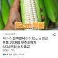 미백찰옥수수 15cm 이상 특품 20개입 (14,800원)