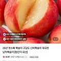 고당도 신비복숭아 1kg 중소과 8,460원