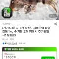 국내산 오징어 새벽조업 활오징어 kg 4-7미 (14,820원/무배)1