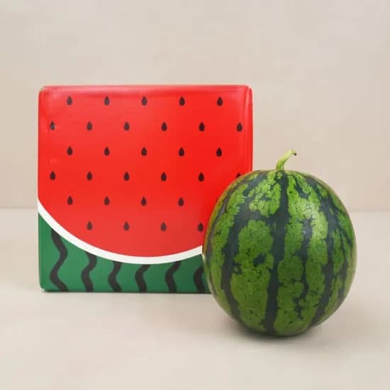 농협 특품 당도선별 꿀수박 6kg (15,912원/무료)