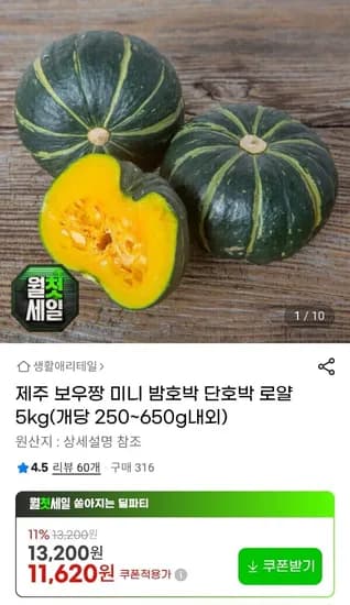 제주 보우짱 미니 밤호박 로얄 5kg (11,620원/무료)
