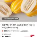 로얄 중과 성주 참외 5kg (9,280원 무배)
