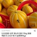 성주 못난이 참외 실중량 9kg (7,990원/무료)