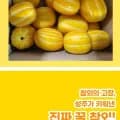 성주참외 고당도 10kg(8,840원/무배)