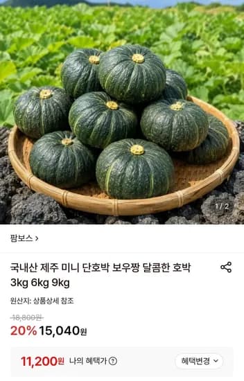 국내산 제주 미니 단호박 6kg 로얄과 (11,00원/무료)2