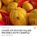 성주 못난이 참외 실중량 9kg (6,970원/무료)