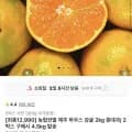 농협선별 제주 하우스 감귤 2kg (12,990원/무료)