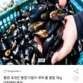 통영 다듬이 세척 활 홍합 5kg (7,790원/무료)