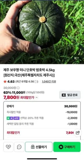 제주 보우짱 미니 단호박 밤호박 4.5kg (7,800원/네멤 무료)