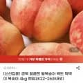 백도 딱딱이 복숭아 4kg 랜덤과 (22~26과내외) (11,470원/무료)