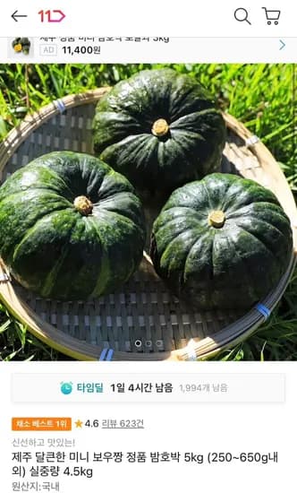 제주 미니 보우짱 밤호박 5kg (250~650g내외) 실중량 4.5kg (11,680원/무료)