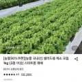 샐러드용 채소 모듬 1kg (6,660원/무료)