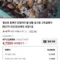 협성호 동해안 당일바리 활 생물 살고동 고추골뱅이  (4,70원/4,000원)2