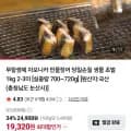 국산 자포니카 민물장어 1kg 2~3미 (19,320원/무료)