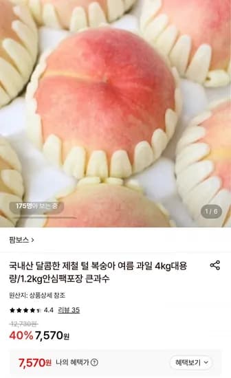 국내산 털복숭아 1.2kg 큰과수 (7,570원/무료)