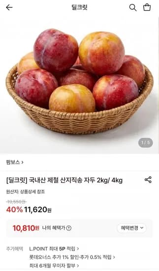 국내산 햇자두 2kg (10,810원/무료)