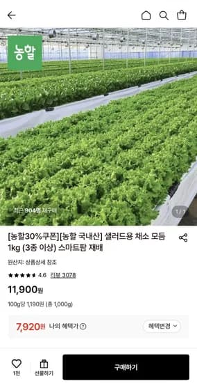 샐러드용 채소 모듬 1kg (,920원/무료)7