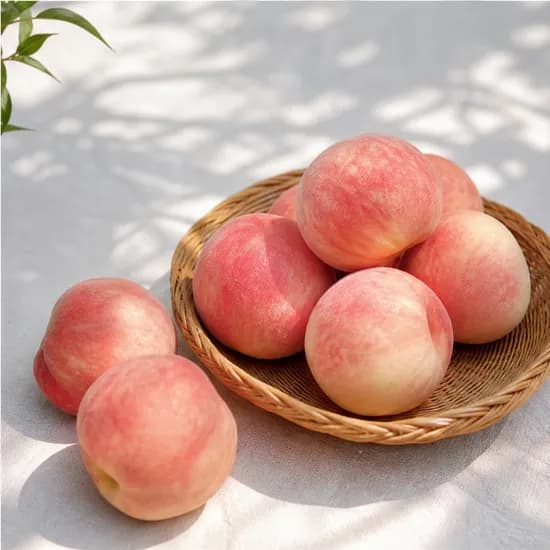 경북 차돌복숭아(딱딱이) 소과 4kg