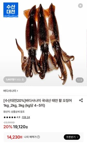 국내산 태안 활오징어 1kg 4~5미