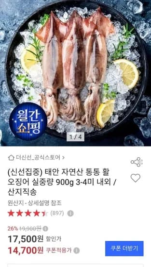 태안 자연산 활 오징어 실중량 900g 3-4미 내외 (14,700원/무료)
