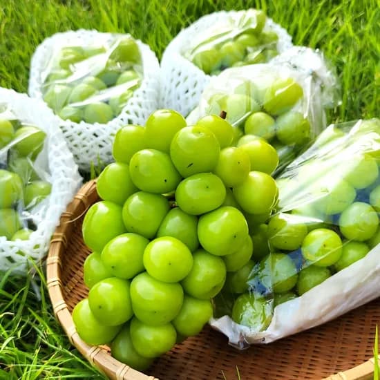 농협 특품 샤인머스캣 2kg 3~4수 (7,825원/무료)