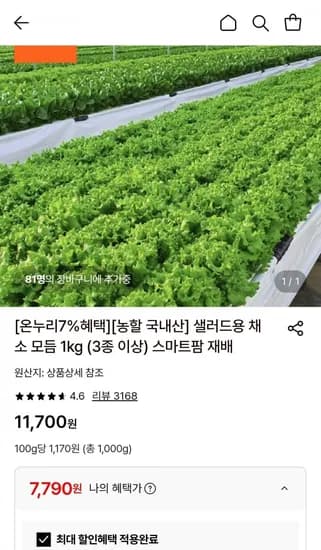 국내산 샐러드용 채소 모듬 1kg 3종 이상 7,790원