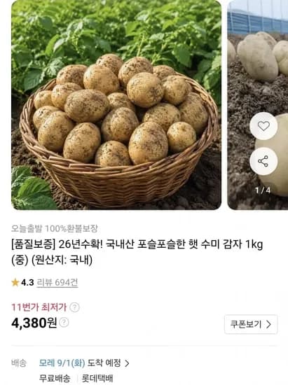 햇 수미감자 중 1kg(1,380원/무료)