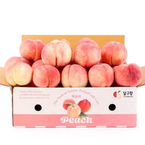 딱딱이 백도 복숭아 로얄과 2kg (3,997원/무료배송)1