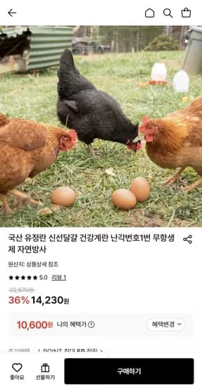난각번호1번 무항생제 유정란 0구 (10,600원/무료)2