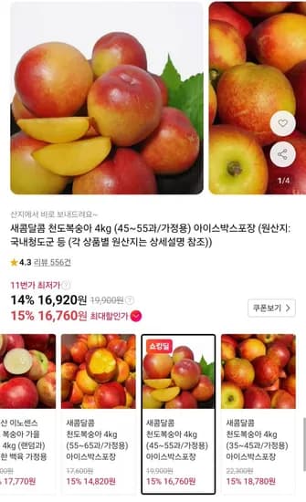 새콤달콤 천도복숭아 4kg (45~55과/가정용) (16,760원/무배)