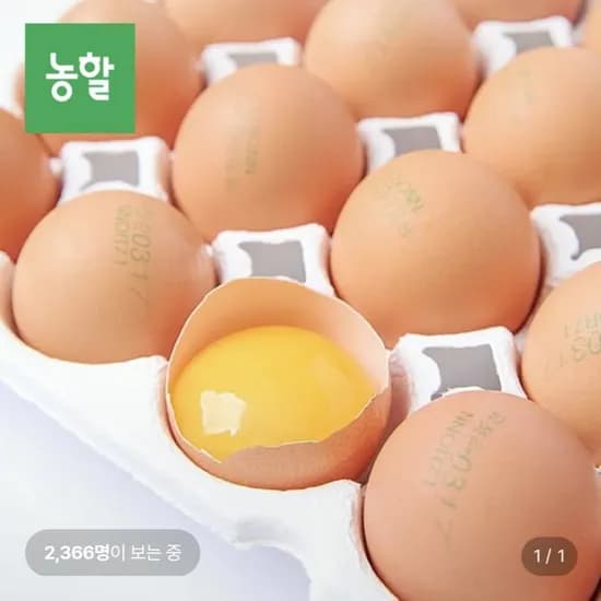 난각번호 1번 유정란 20구