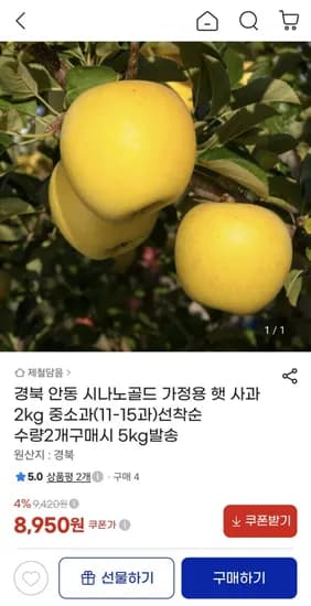 경북 안동 시나노골드 가정용 햇 사과 2kg 중소과
