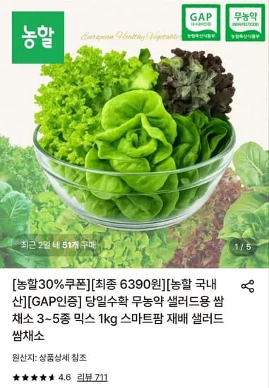 샐러드 쌈채소 1kg 3~5종 랜덤