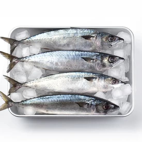 국내산 부산 자반 손질 특대 고등어 10미 3.5kg 내외