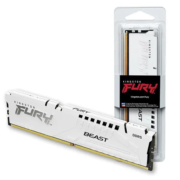 FURY DDR5 PC5-44800 CL36 Beast 화이트 코잇 599,000원