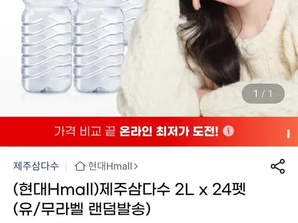삼다수 2L 24펫