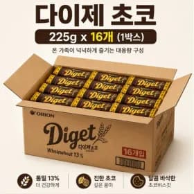 오리온 다이제 초코 225g 16개
