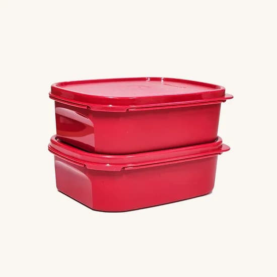 타파웨어 미니 모듈러 김치통 1번, 850ml, 2개입, 1세트