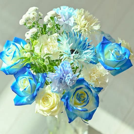 주말배송 신선 보냉포장 아르띠콜로 생화 꽃택배, 블루&화이트, 5개
