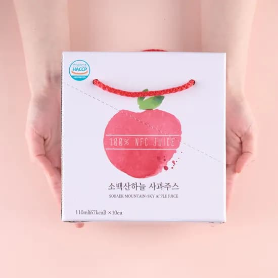 소백산하늘 사과주스 110ml 10포