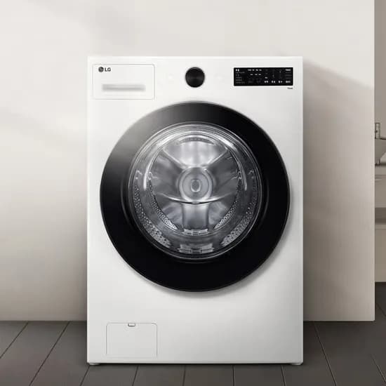 LG전자 트롬 드럼세탁기, FG21WN, 21kg, 화이트, 1개